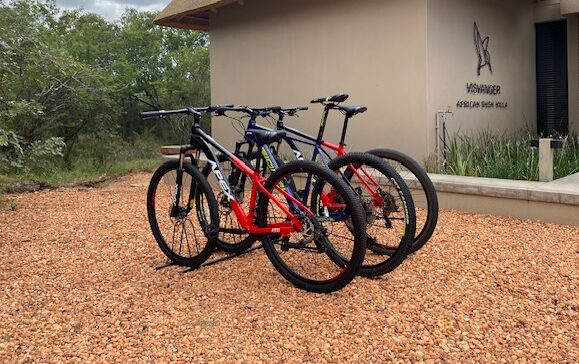 3 mountainbikes